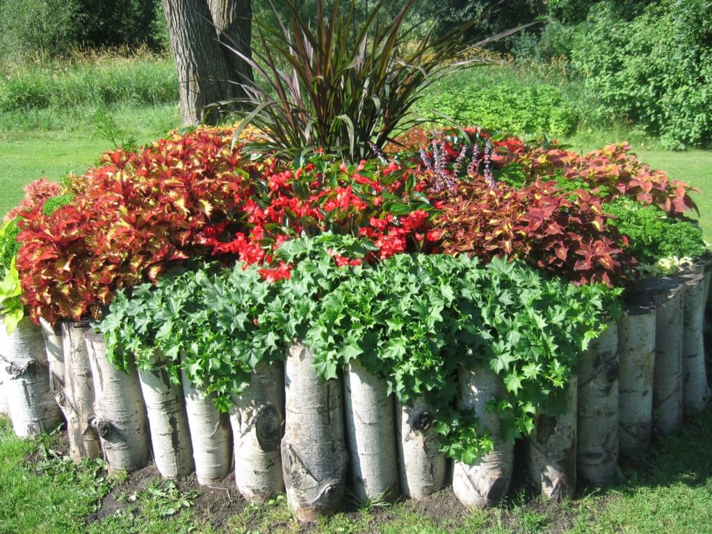 Form a Circular Bed with Upright Birch Logs