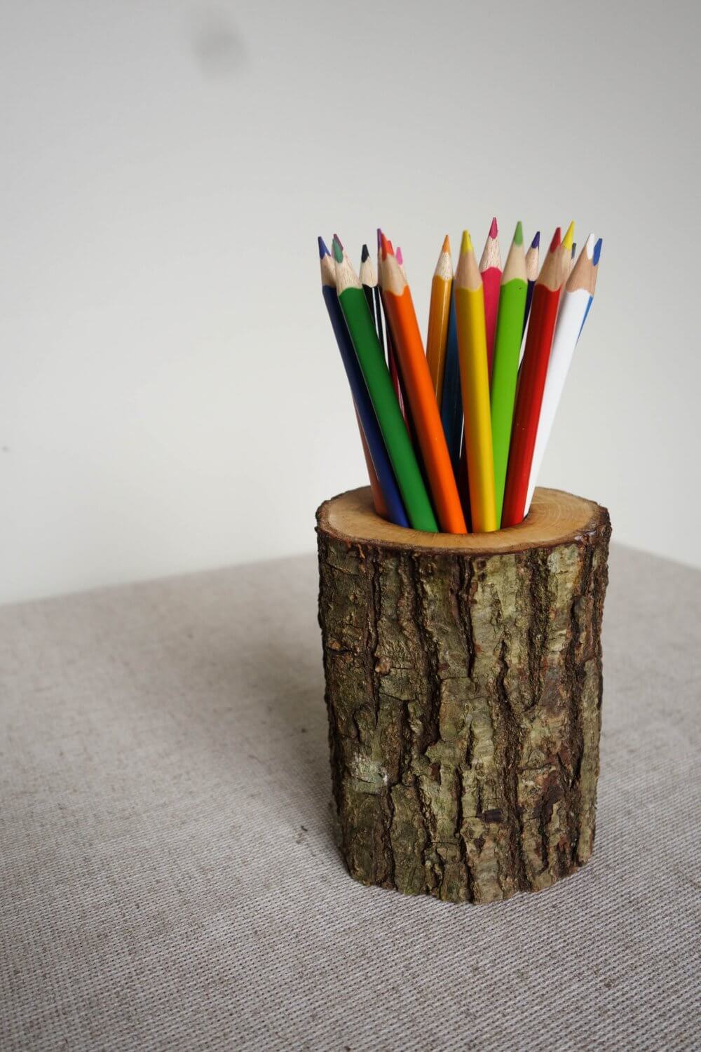 Hollowed Log Holder for Art Supplies
