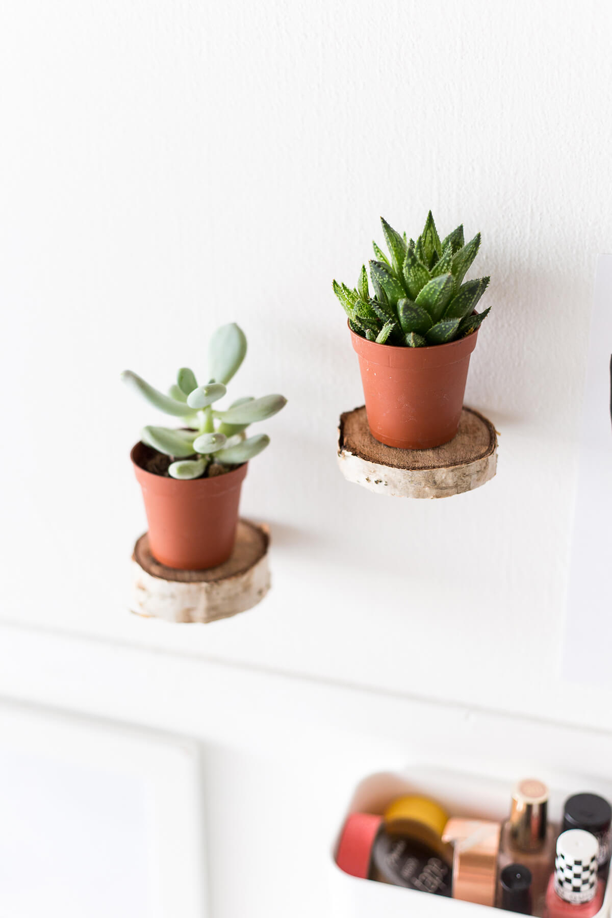 Craft Mini Floating Shelves from Small Wood Slices