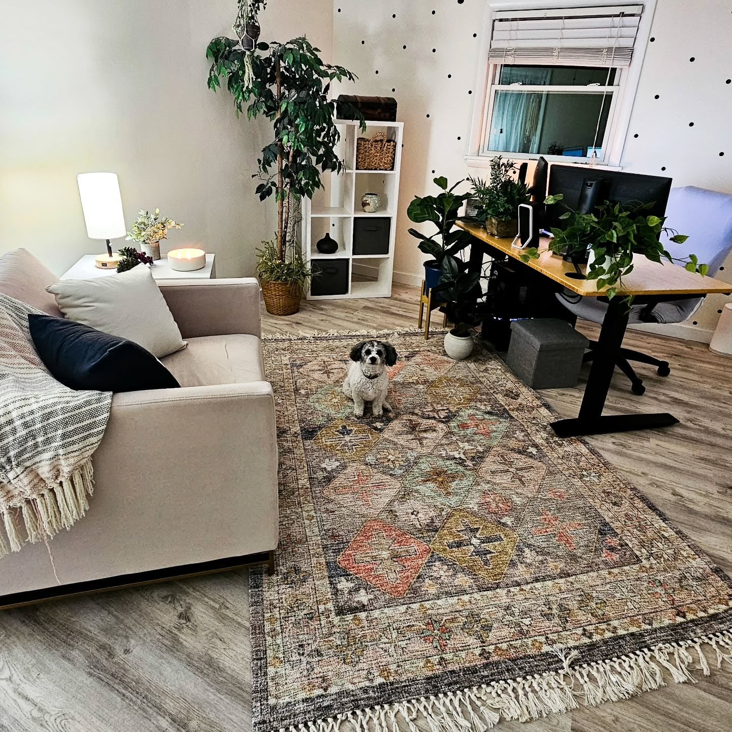 Anchor Your Zone with a Boho Rug