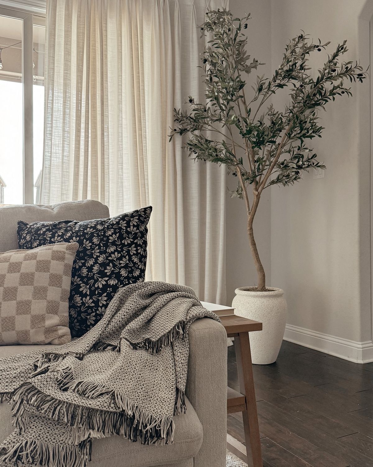 Textured White Planter Holds a Tall Olive Tree