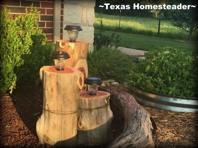 Tree Stump Pedestals Hold Solar Lights for Garden Glow