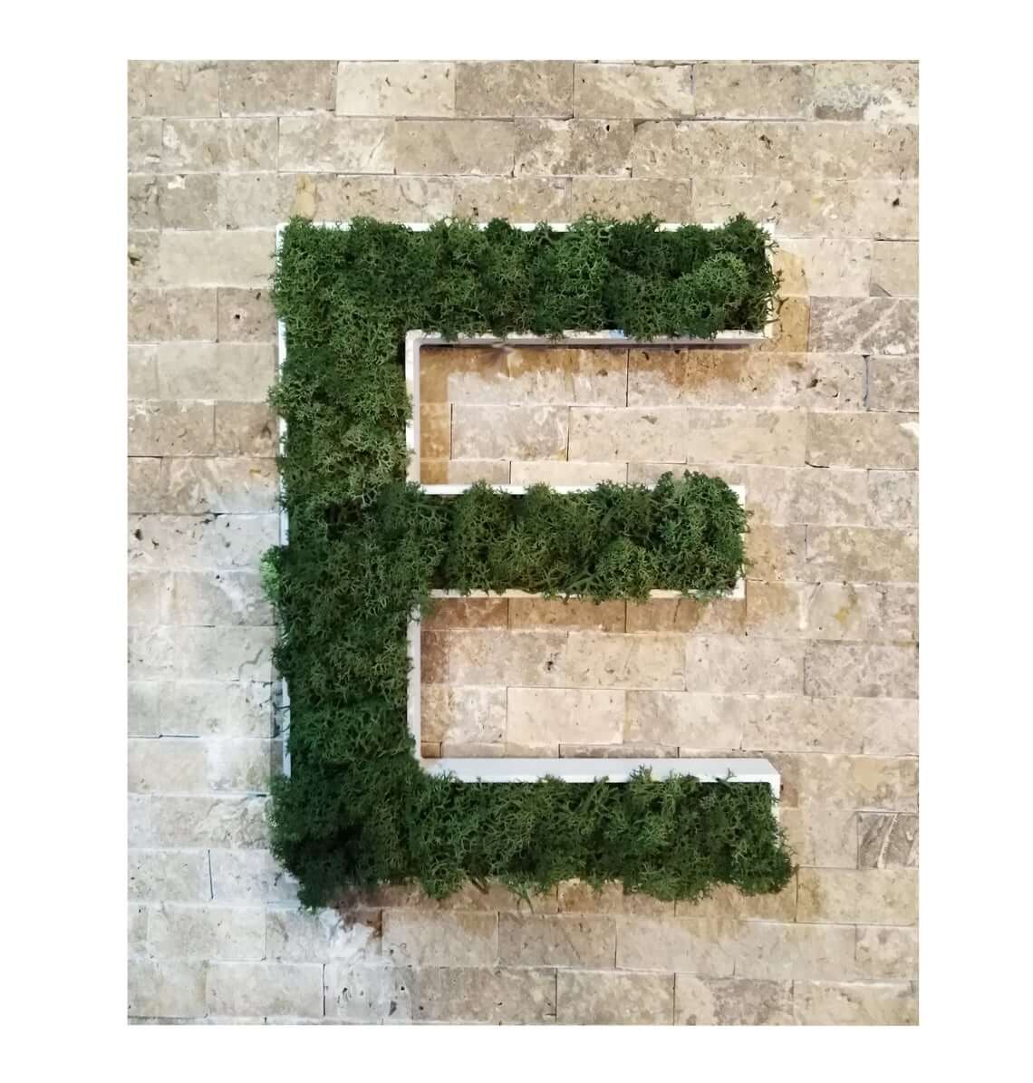 Letter-Shaped Moss Art Adds Organic Texture to Walls