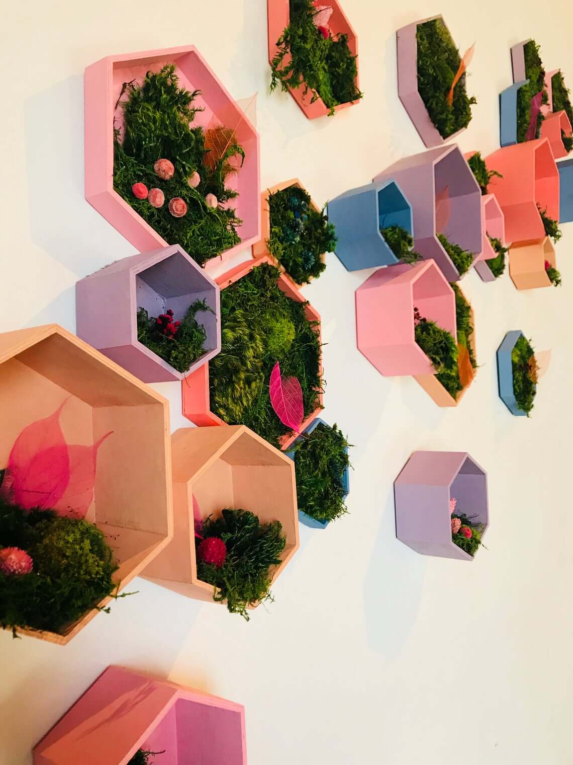 Decorate Pastel Hexagonal Shelves with Mossy Accents