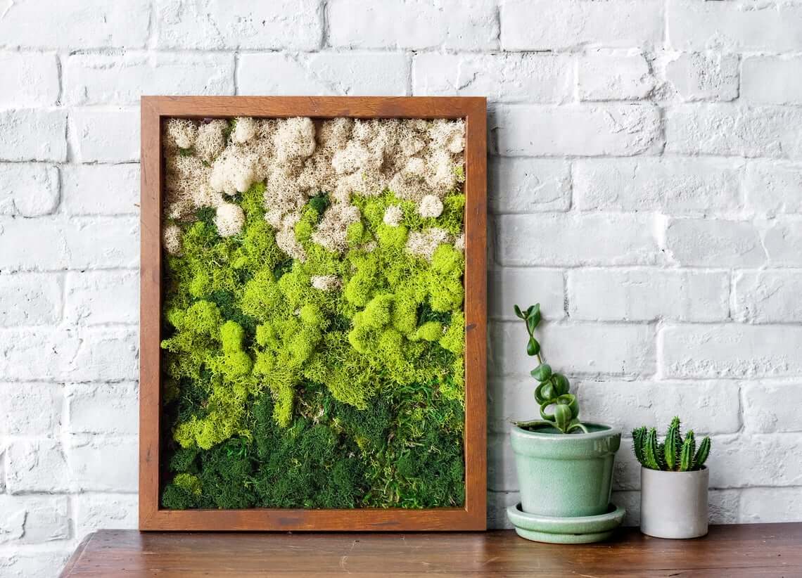 Layer Green Tones in a Framed Moss Art Piece