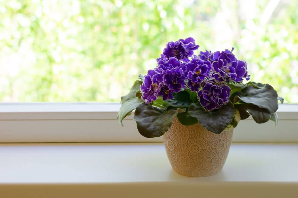 Textured Planters That Highlight Bright Flowers