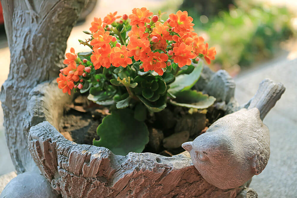 Textured Bird Planter for Bright Orange Blooms