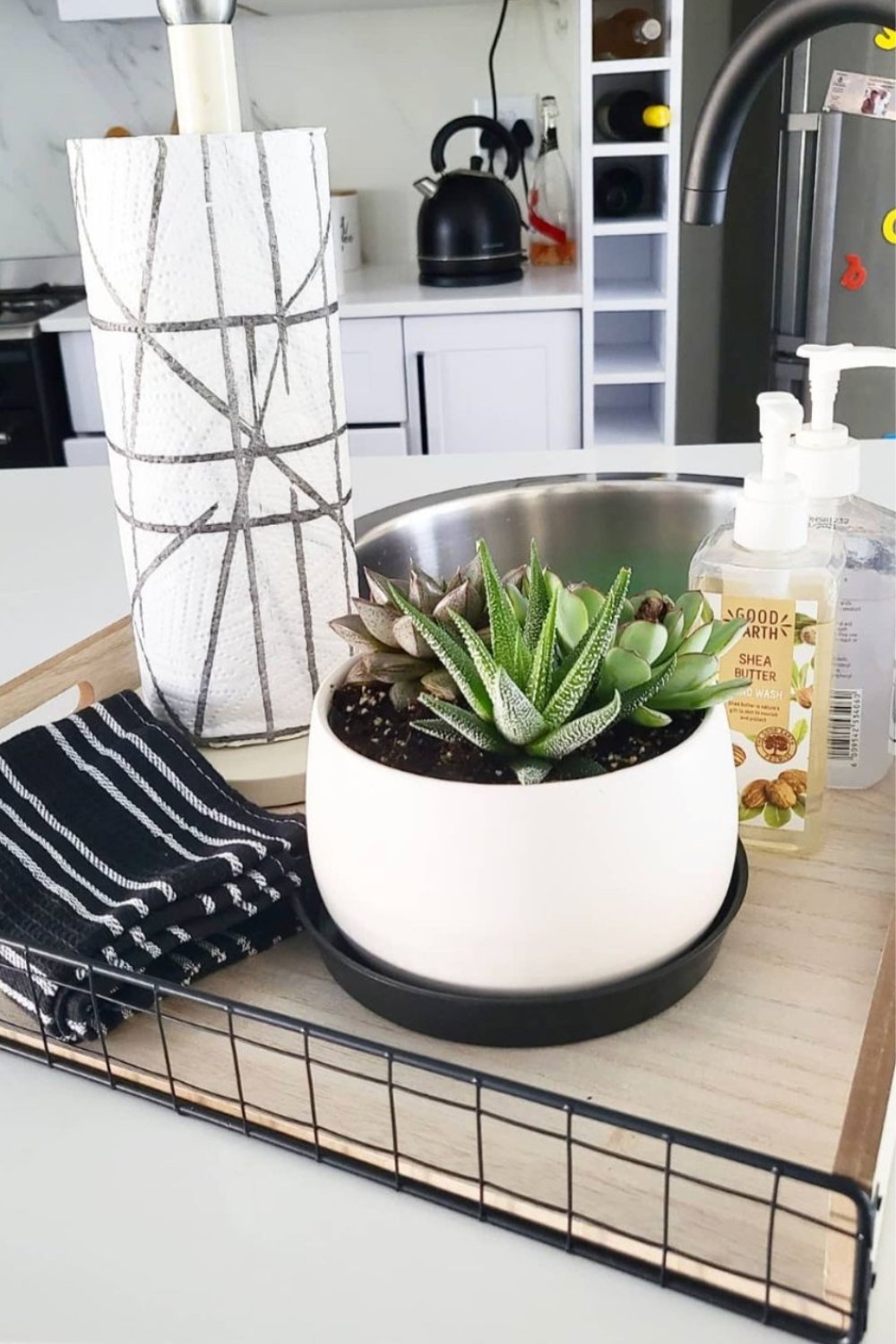 Succulents in a Round Planter Soften Hard Surfaces