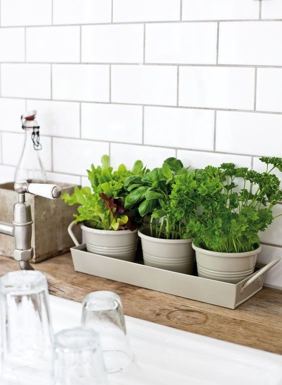 Fresh Herbs Within Reach on a Tiered Tray