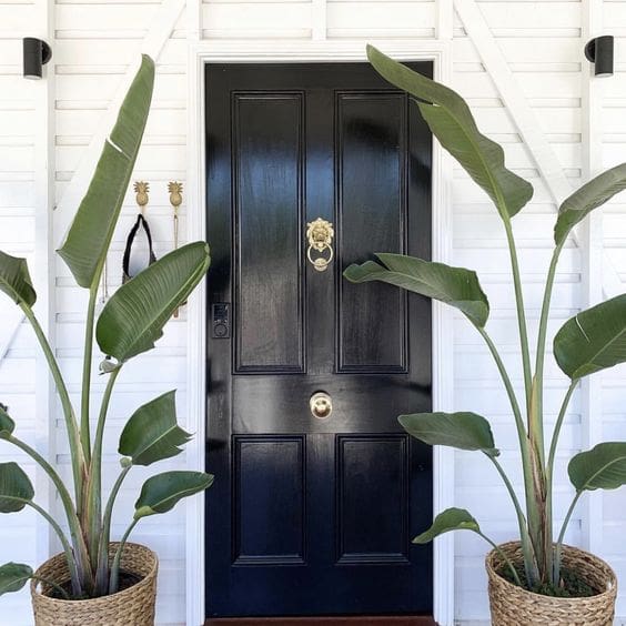 Large Bird of Paradise Plants Flank Black Doors