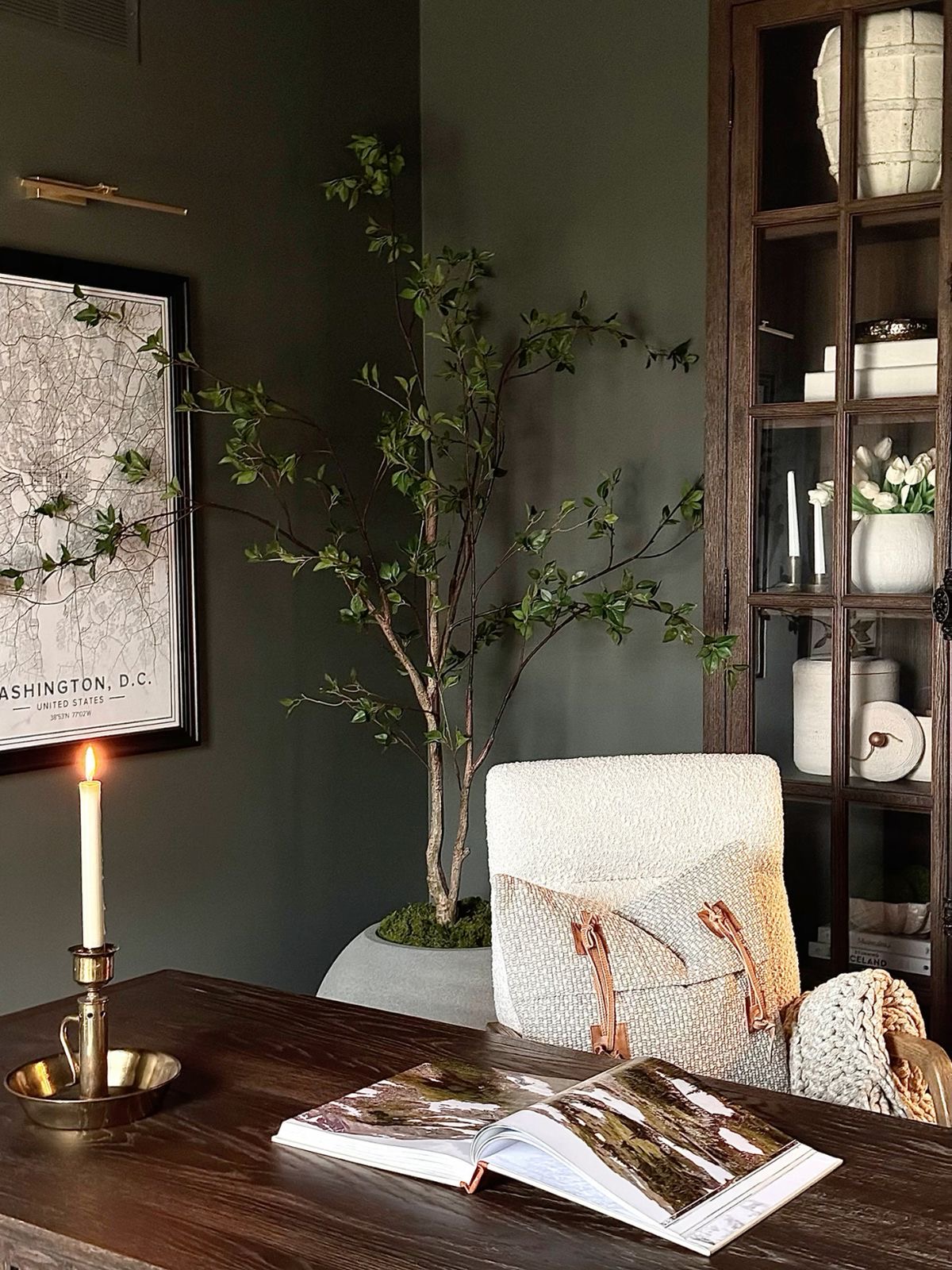Tall Ficus Tree Adds Vertical Interest to Dark Walls