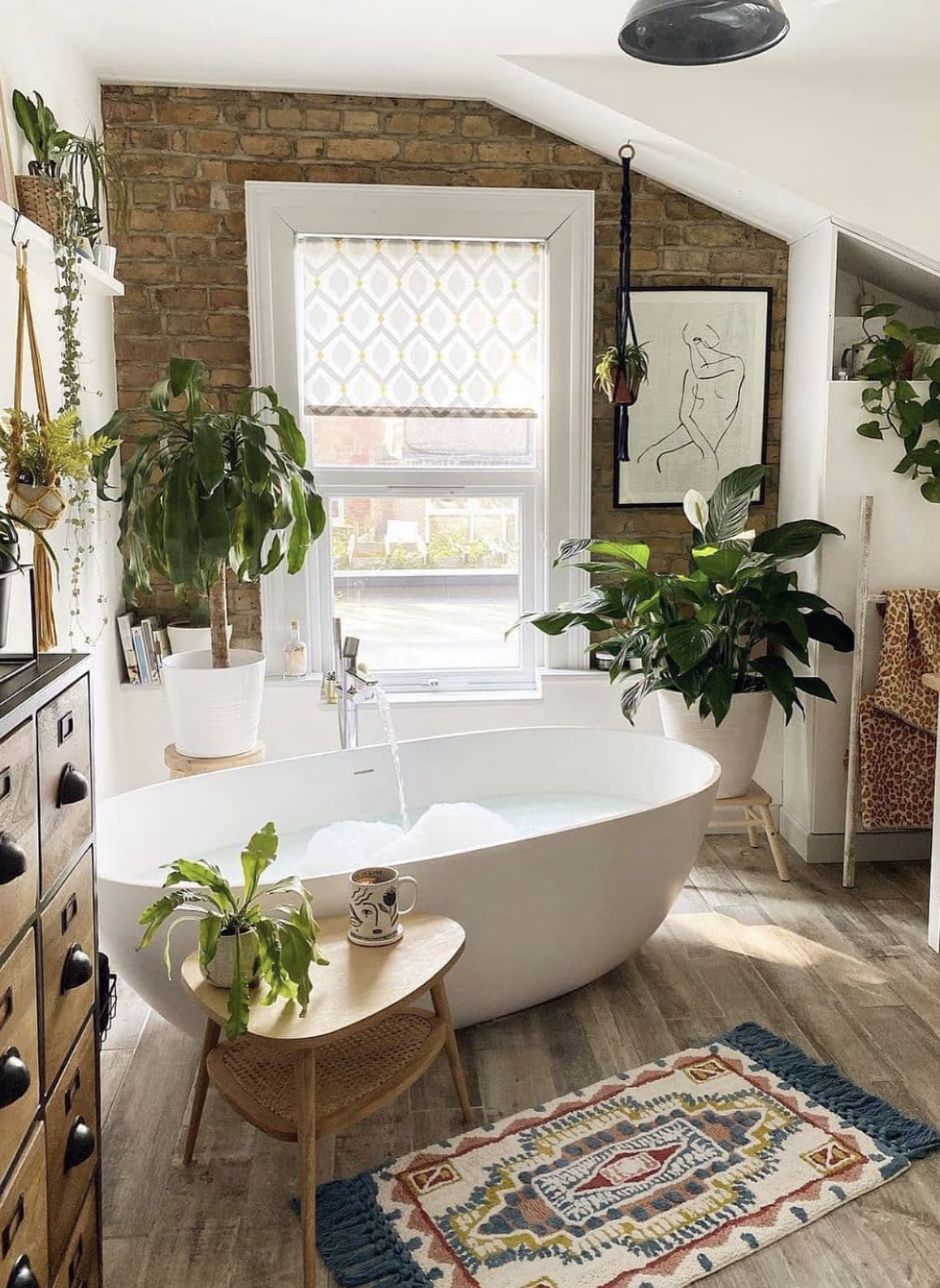 Hanging Macrame Plant Holders Add Greenery to Bare Walls