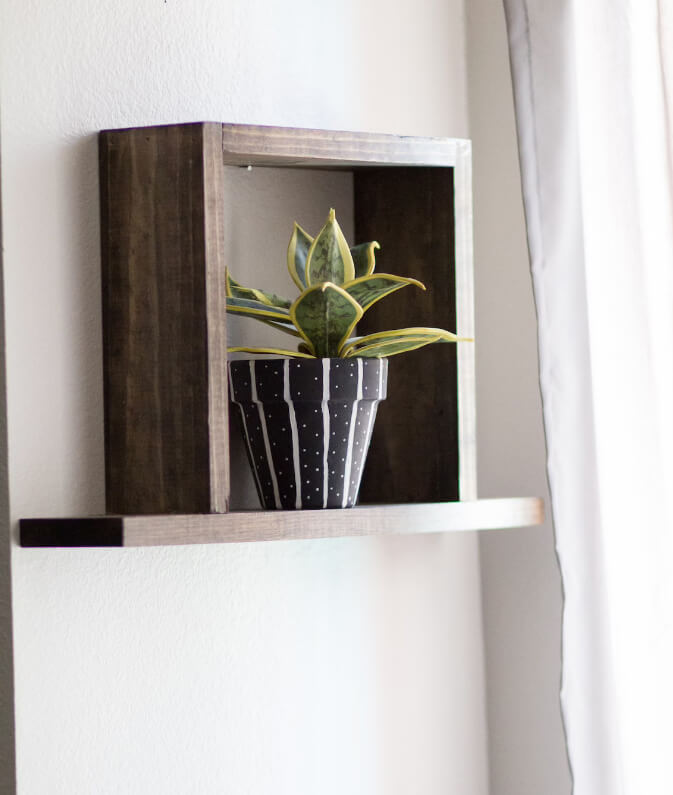 Dark Wood Box Shelf Frames a Potted Plant