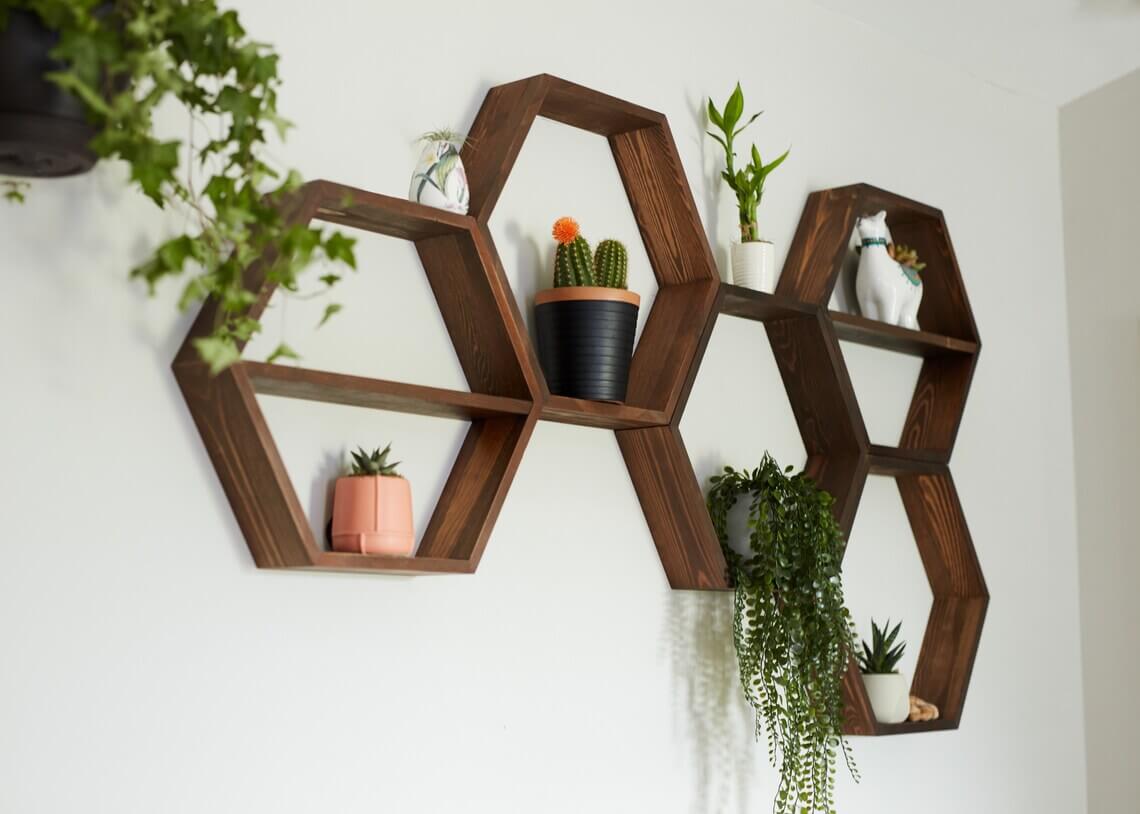 Interlocking Hexagon Shelves Create a Geometric Plant Display