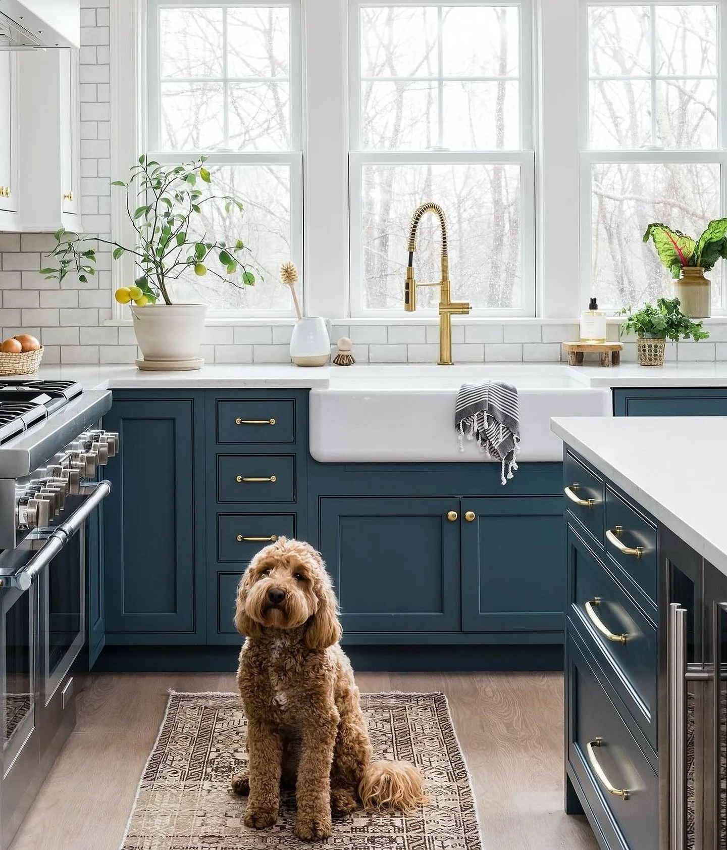 Gold Spring Faucet Adds a Sculptural Touch to Farmhouse Sink