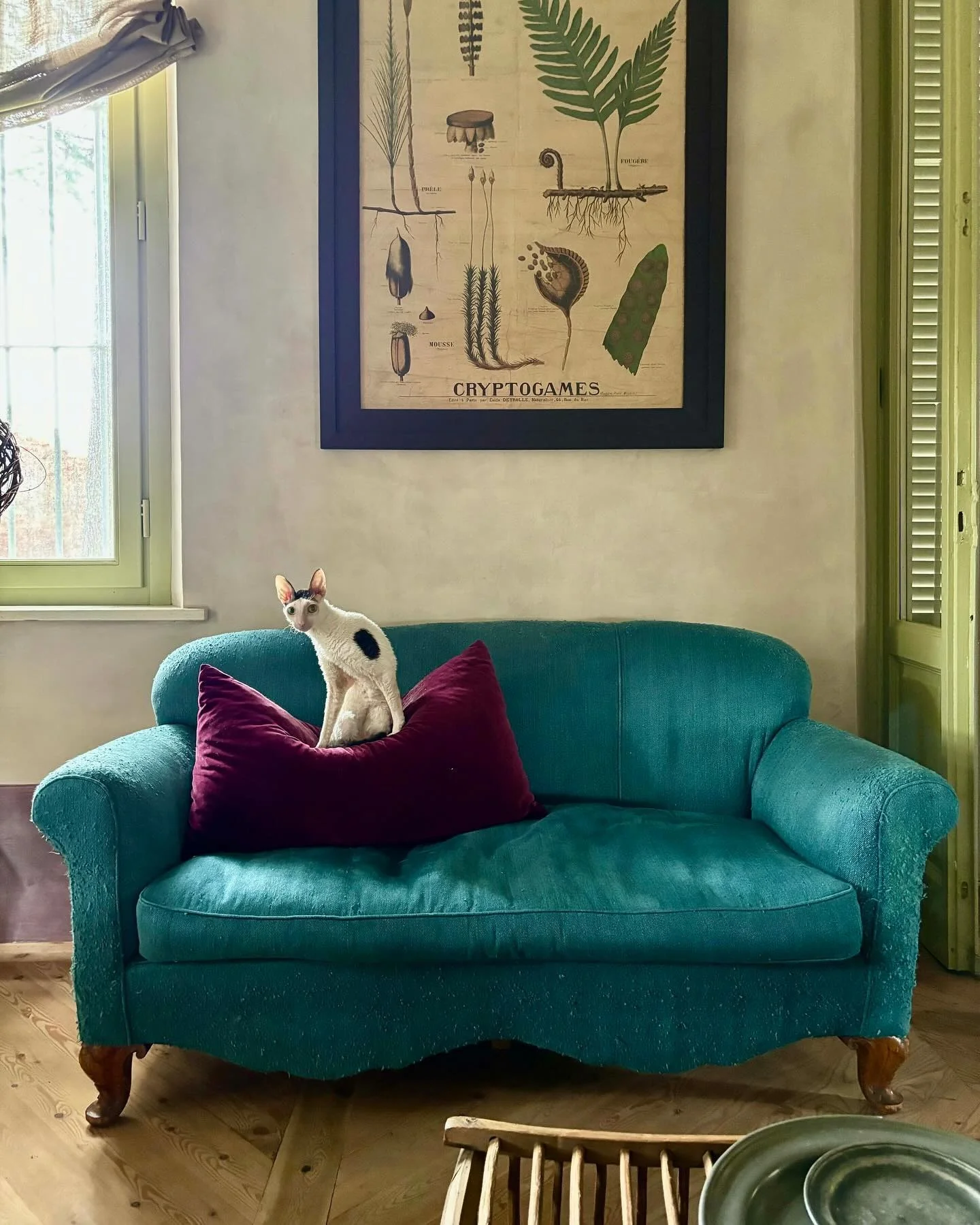 Deep Plum Pillow for Rich Contrast on Turquoise Sofa
