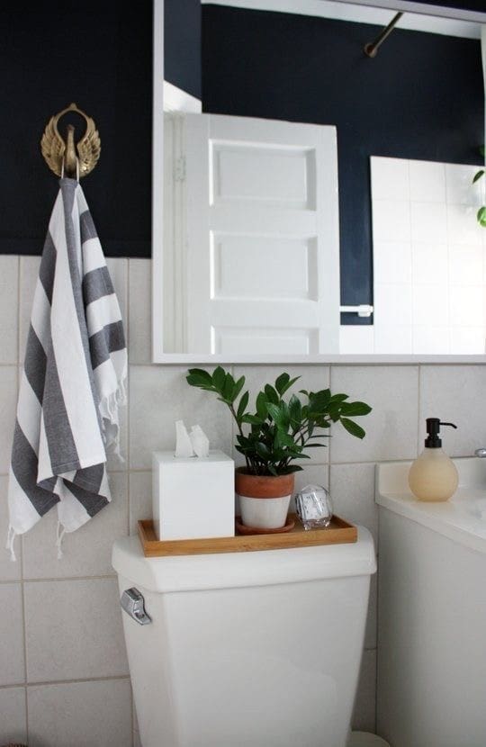 Wooden Tray With Plant and Tissue Box Adds Life to Toilet Tank