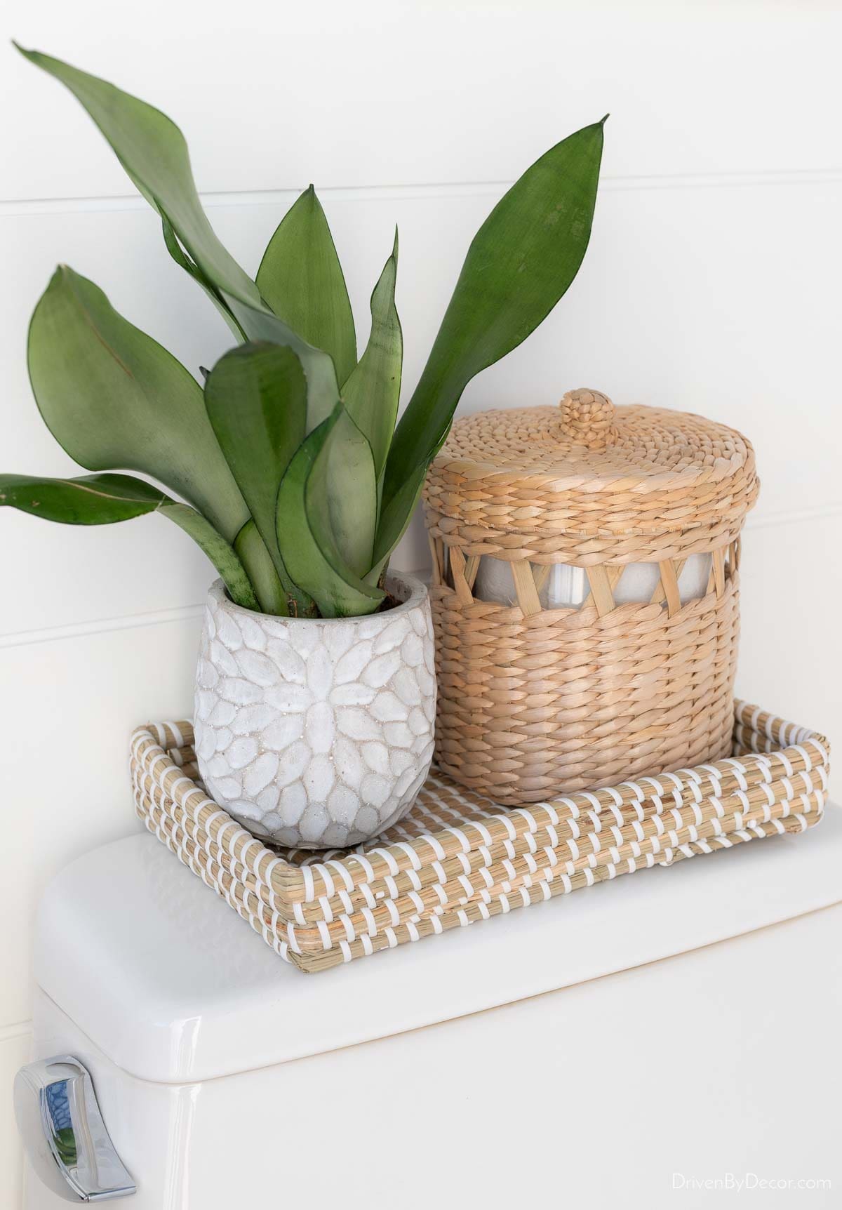Woven Tray Holds Textured Planter and Lidded Basket