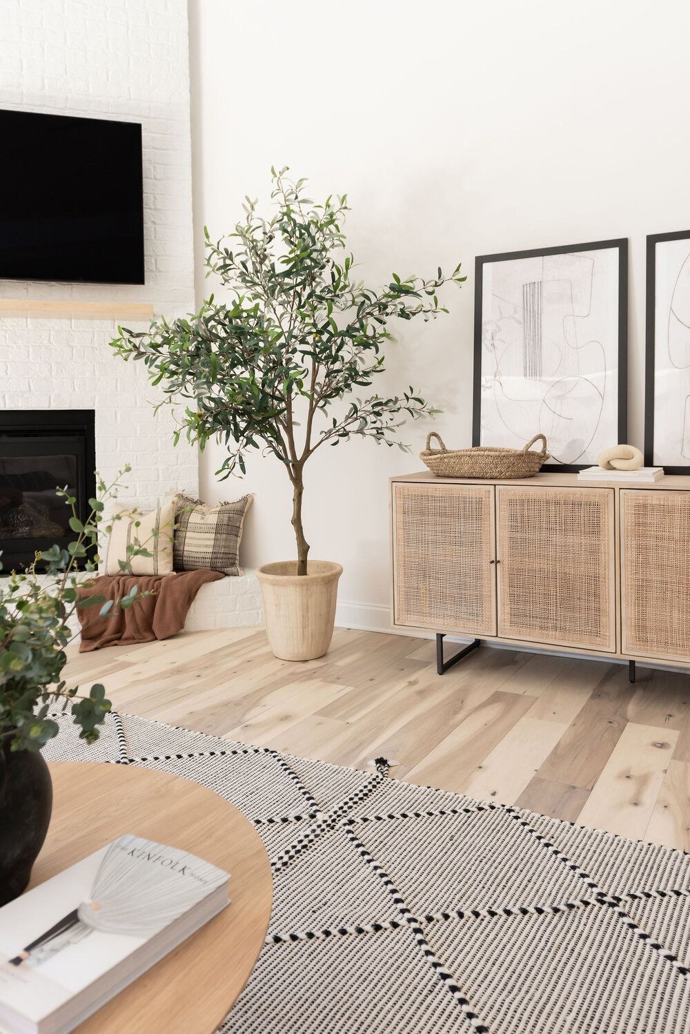Large Potted Tree Adds Life to Bare Corners